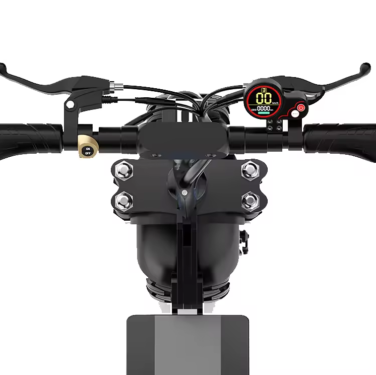 L-V10 Electric Scooter – 1000W | Dual Suspension | EABS Brake | 200KG Load